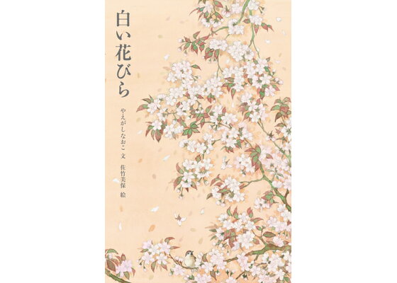 楽天ブックス 白い花びら やえがしなおこ 本 楽天ブックス 白い花びら やえがしなおこ 本